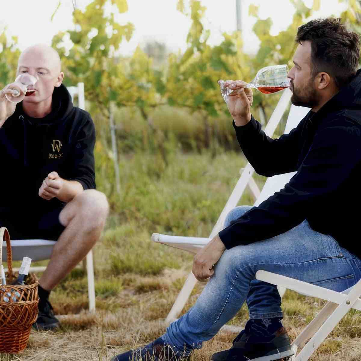 Degustacja win | Lublin (Janów Lubelski) | Winnica Dwa Wzgórza