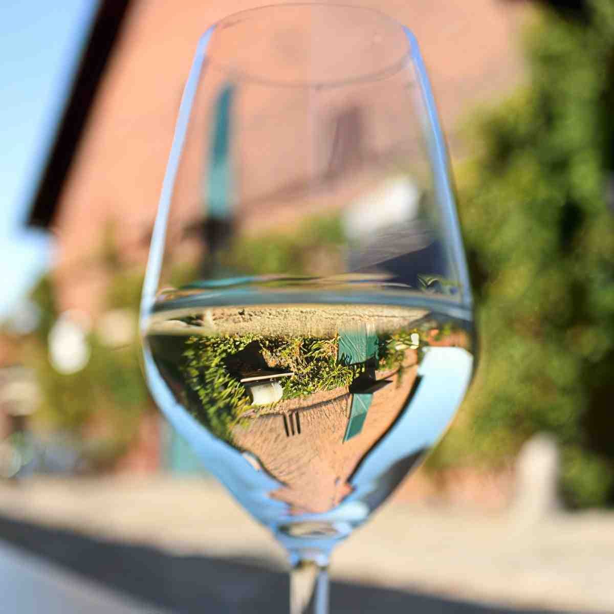 Zwiedzanie Winnic Jaworek z degustacją | Wrocław (Miękinia)