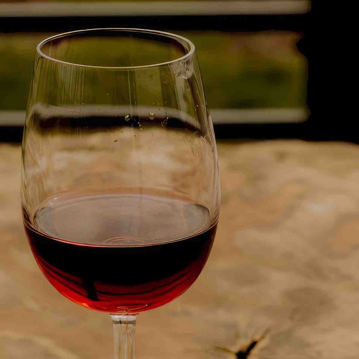 Zwiedzanie winnicy z degustacją | Kutno | Winnica Witaj Słońce