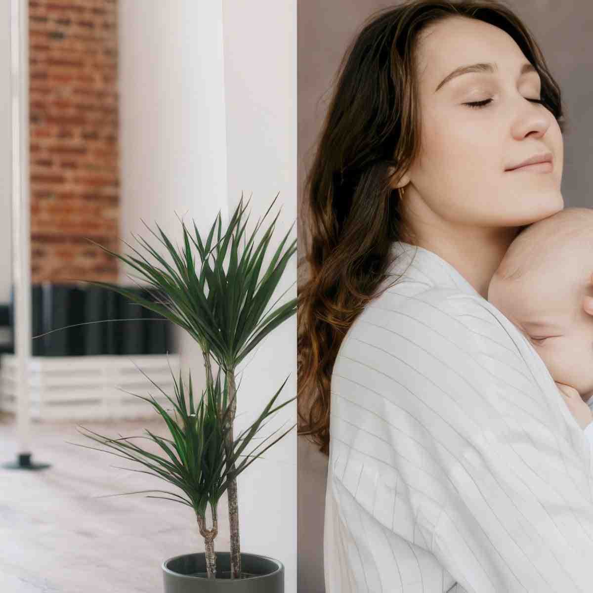 Zajęcia fitness | Łódź