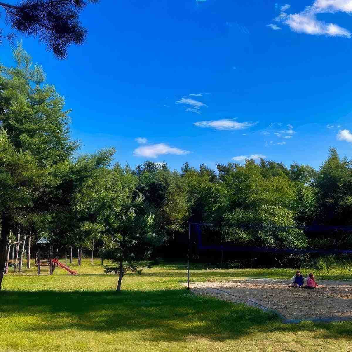 Spływ kajakiem dla dwojga | Płońsk (Wkra)