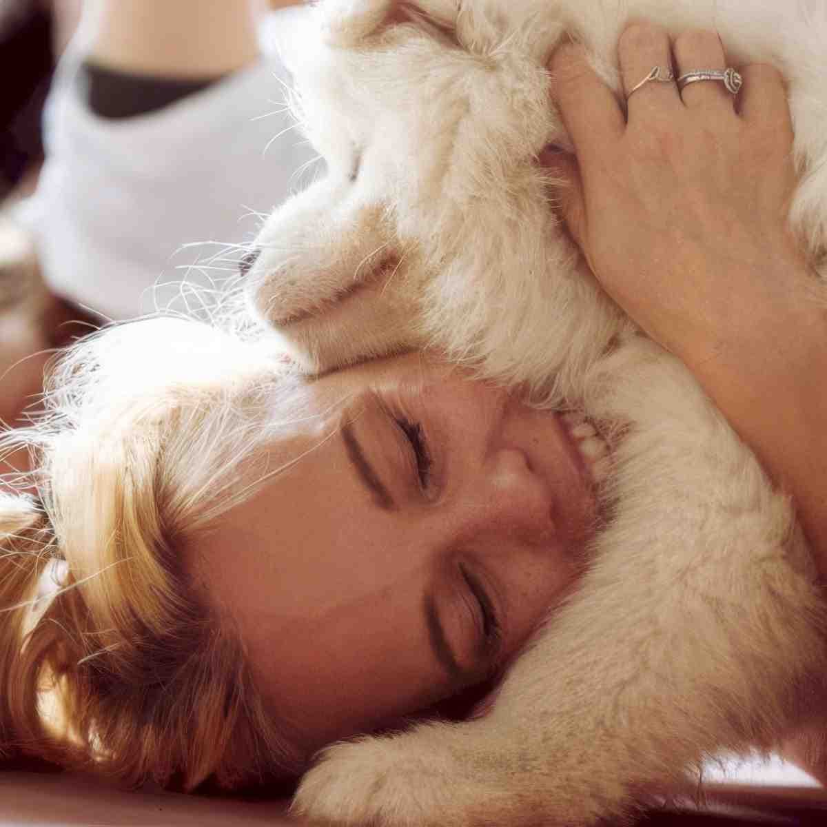 Puppy joga | Katowice