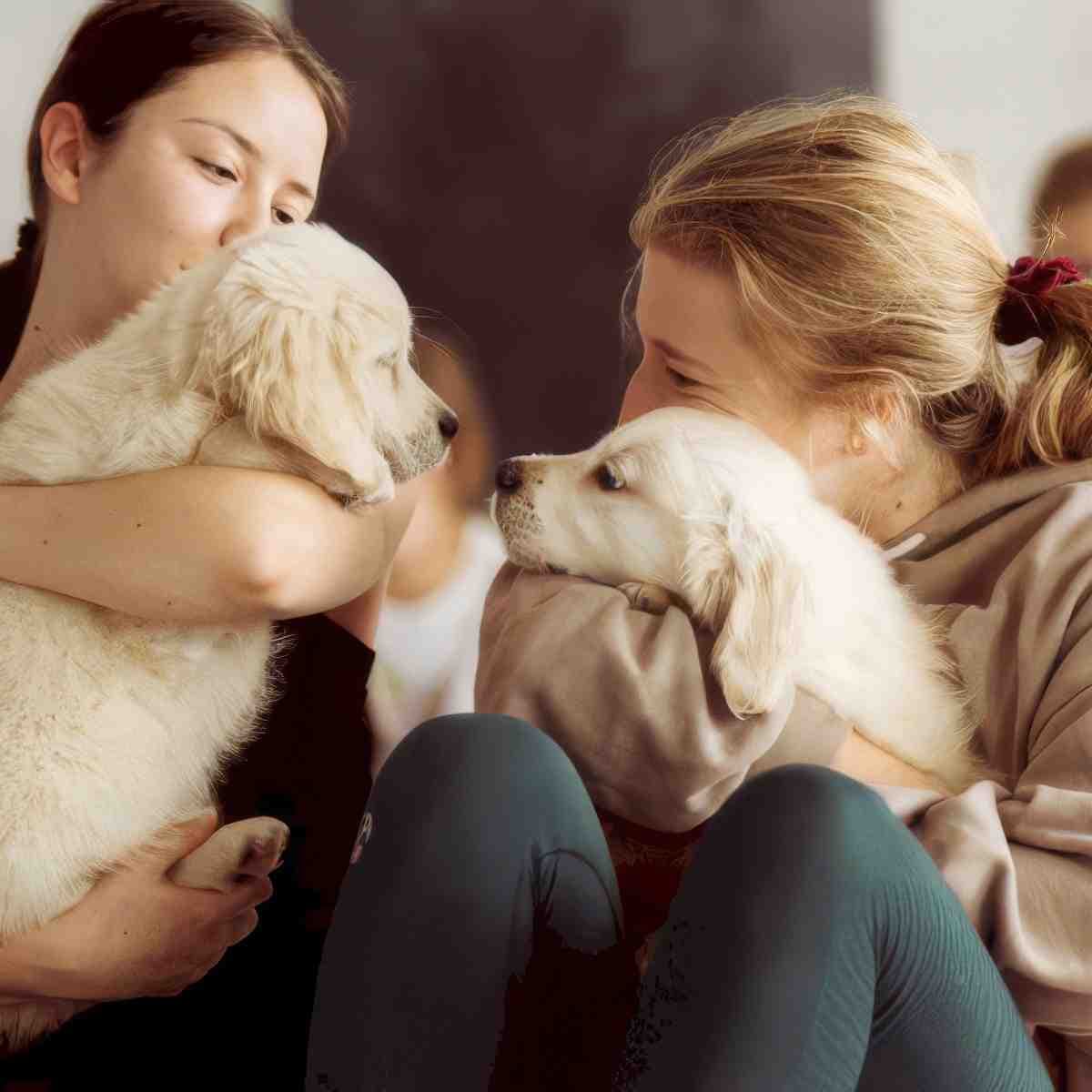 Puppy joga | Rzeszów