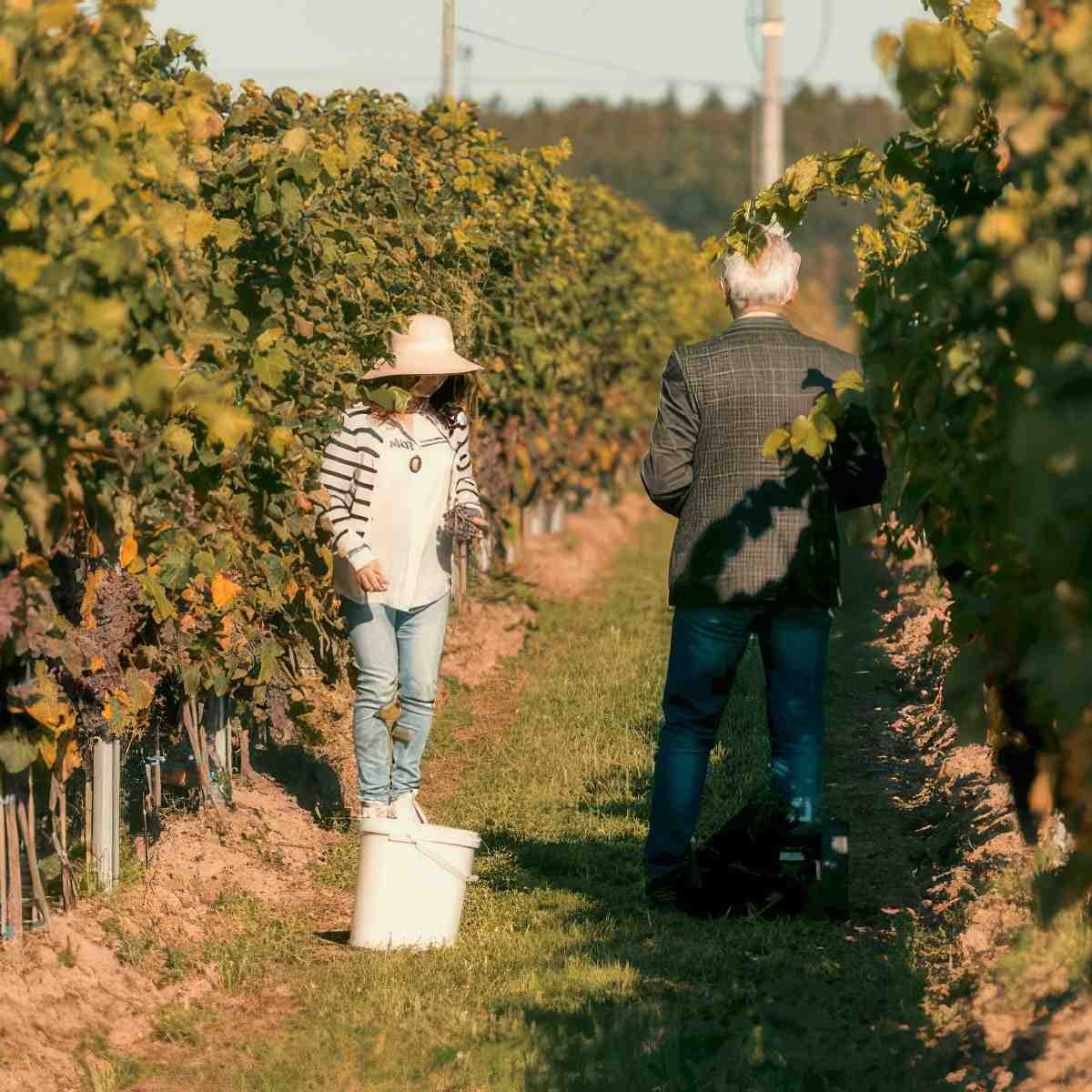 Degustacja win dla dwojga | Warszawa (Belsk Duży) | Pałac Mała Wieś