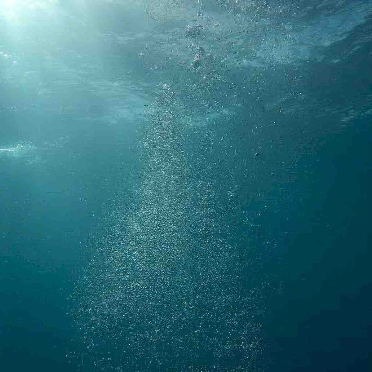 Nurkowanie z instruktorem w jeziorze | Wiele lokalizacji | Lionfish