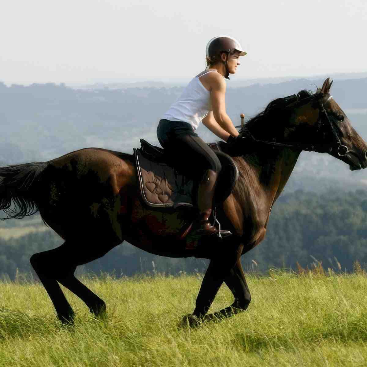 Nauka jazdy konnej | Rzeszów (Chmielnik)