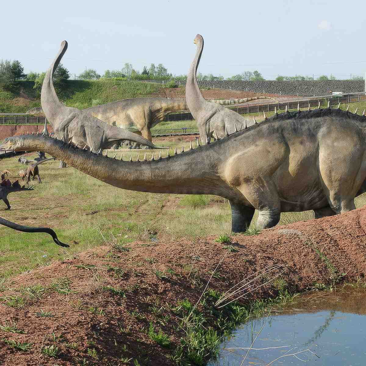 Bilet do JuraParku w Krasiejowie | Opole (Krasiejów)