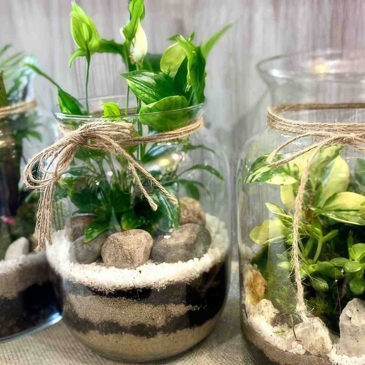 zdjęcie 4