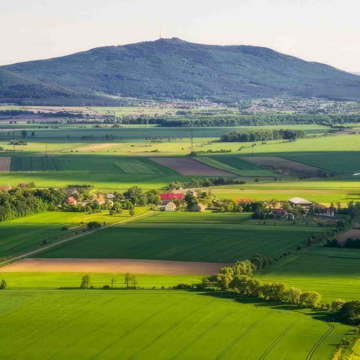 zdjęcie 5