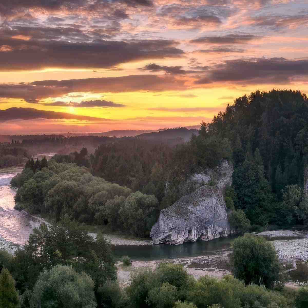 zdjęcie 1