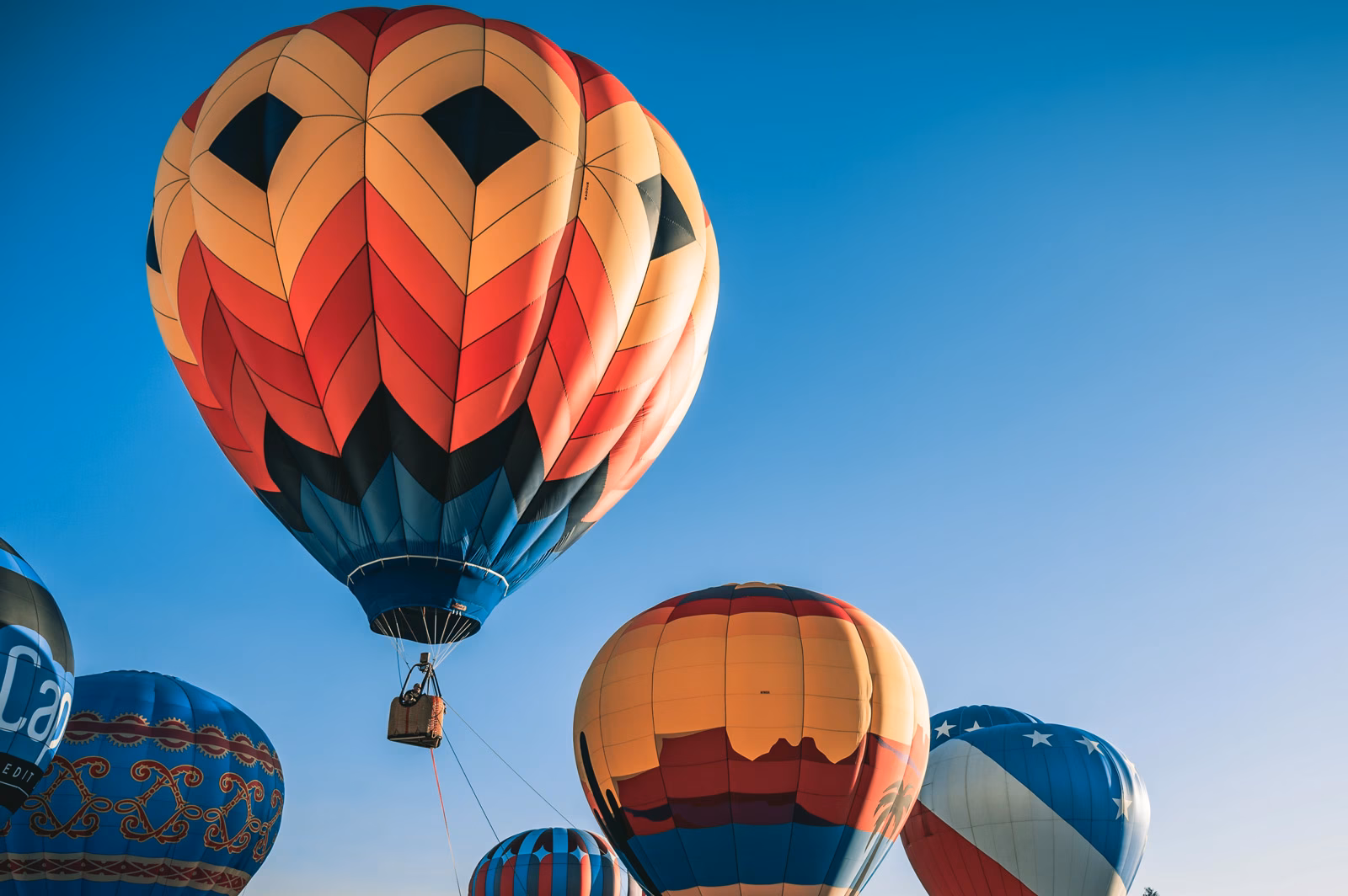 Co otrzymasz dzięki współpracy?