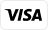 płatność visa