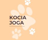Kocia Joga Kocia Joga