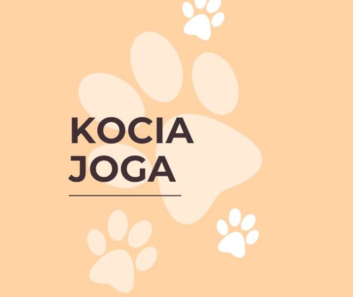 Kocia Joga Kocia Joga