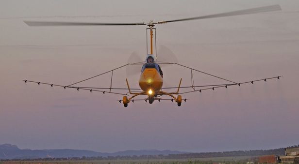 Lot widokowy wiatrakowcem dla dwojga, Gorzów Wielkopolski