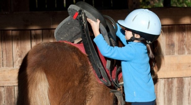Nauka jazdy konnej dla dzieci Katowice Zdjęcie 1
