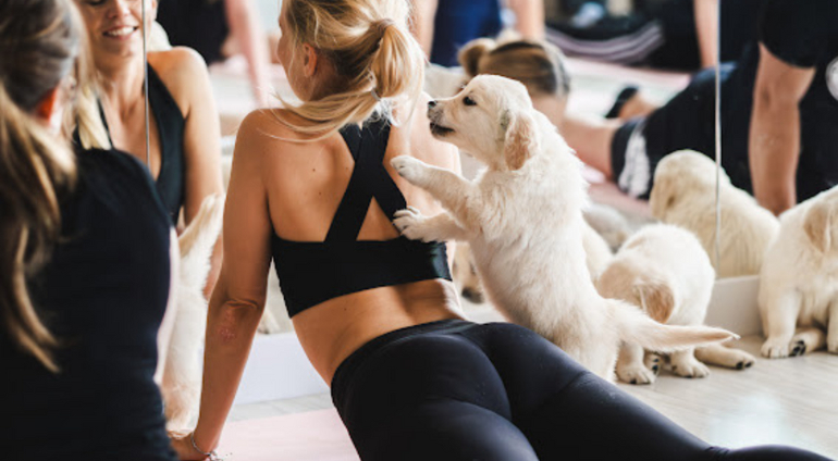 Puppy joga