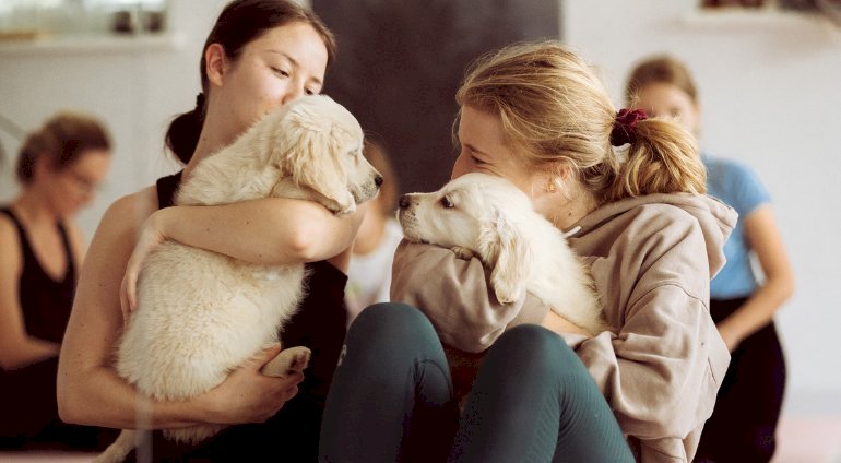 Puppy joga - Szczecin (2 osoby)