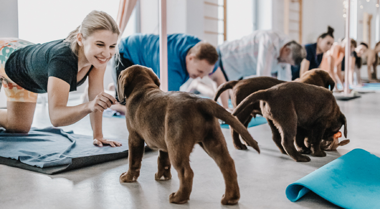 Puppy joga