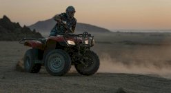 Quad