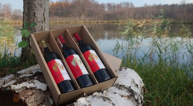 Degustacja win - Warszawa Żyrardów (+ butelka wina)
