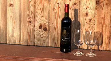 Degustacja win dla dwojga - Warszawa Żyrardów (ze zwiedzaniem winnicy)