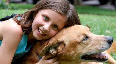 Kurs instruktora dogoterapii online - 1 osoba