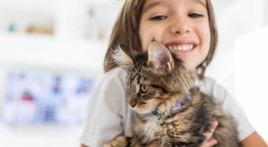 Kurs instruktora felinoterapii online - 1 osoba