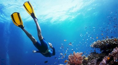 Kurs nurkowania (PADI/SSI/PSAI/SDI/IDF) - Warszawa (Praga)