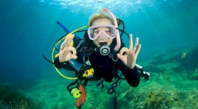 Podstawowy kurs nurkowania IDF Scuba Driver - Malbork