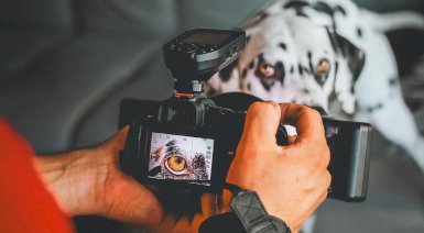 Fotografia tęczówki - Poznań (1 osoba, z pupilem)